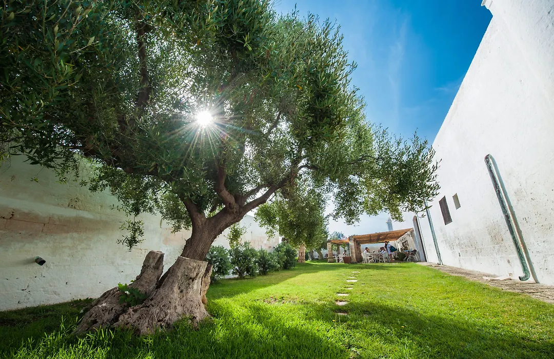 Borgo San Marco-1